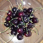 Oda ve Kahvaltı Het Zwanennest 3*