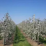 Het Zwanennest Oda ve Kahvaltı