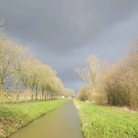 Het Zwanennest *