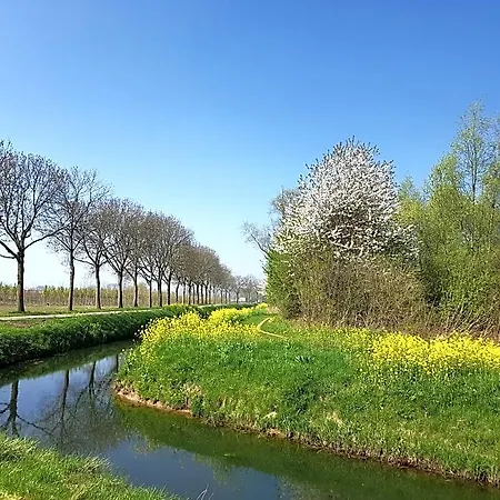 Het Zwanennest Bed & Breakfast Lienden