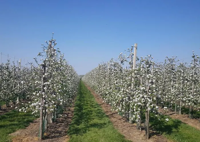 Het Zwanennest Bed & Breakfast